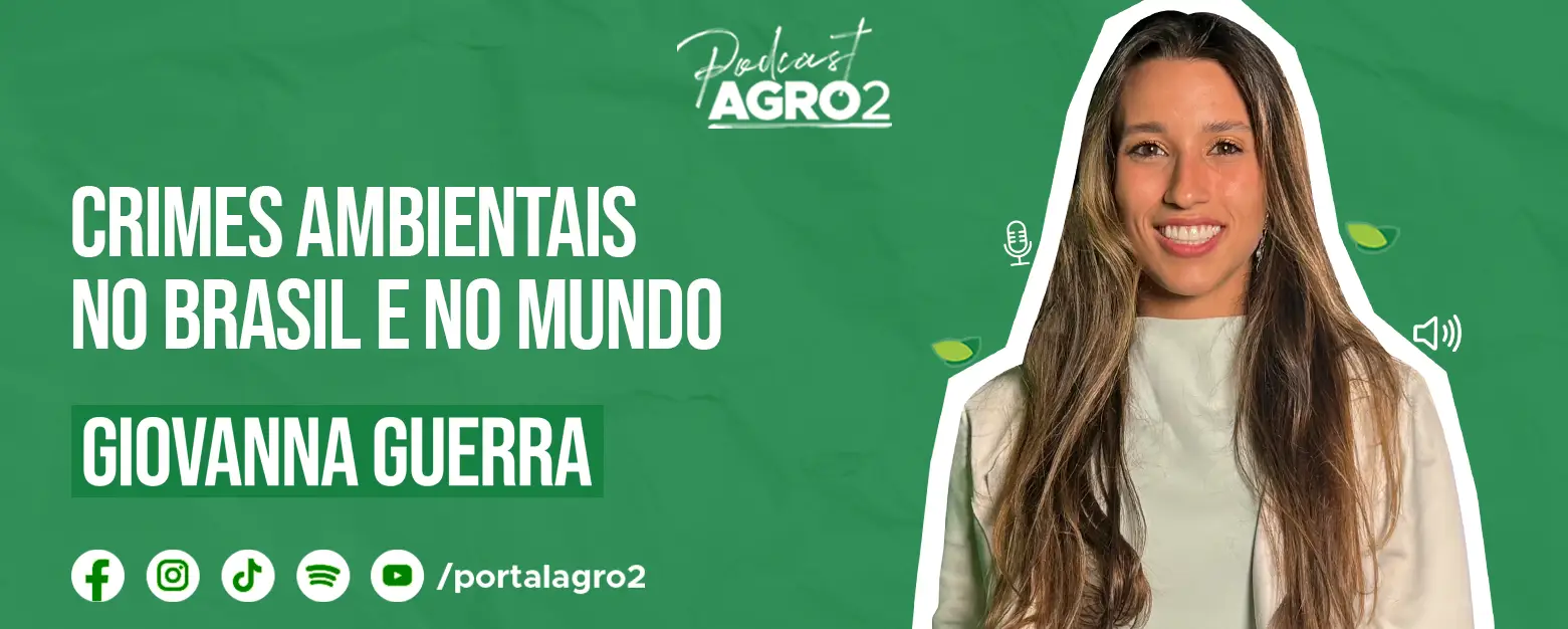 Podcast com Giovanna Guerra