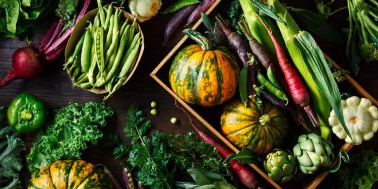 Preços de hortaliças caem e frutas registram alta em setembro