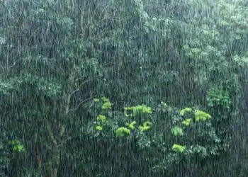 Primeiro episódio da ZCAS de 20252026 provoca volumes expressivos de chuva
