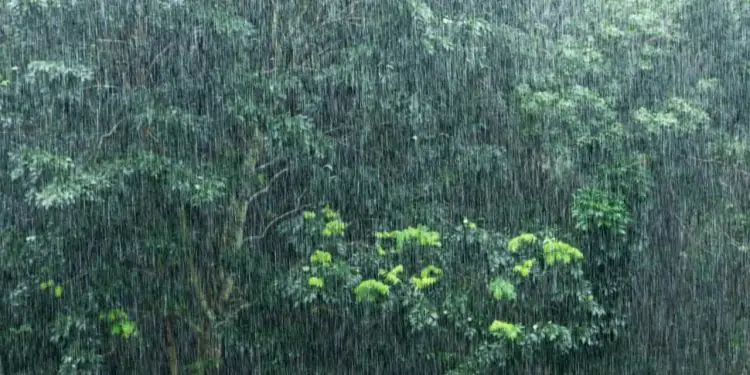 Primeiro episódio da ZCAS de 20252026 provoca volumes expressivos de chuva