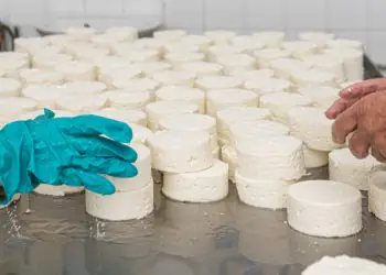 Produção artesanal de queijos cresce 300% em São Paulo