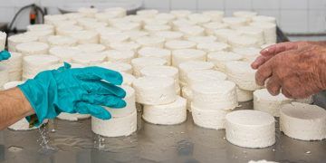 Produção artesanal de queijos cresce 300% em São Paulo