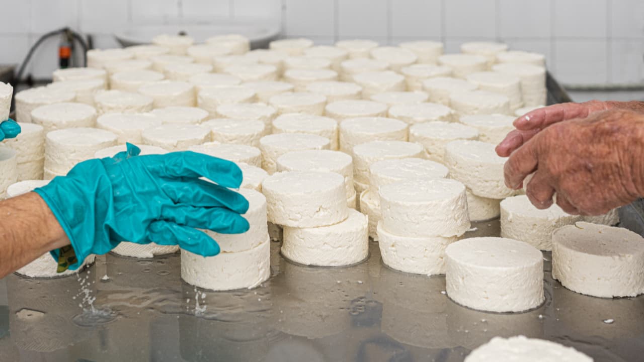 Produção artesanal de queijos cresce 300% em São Paulo