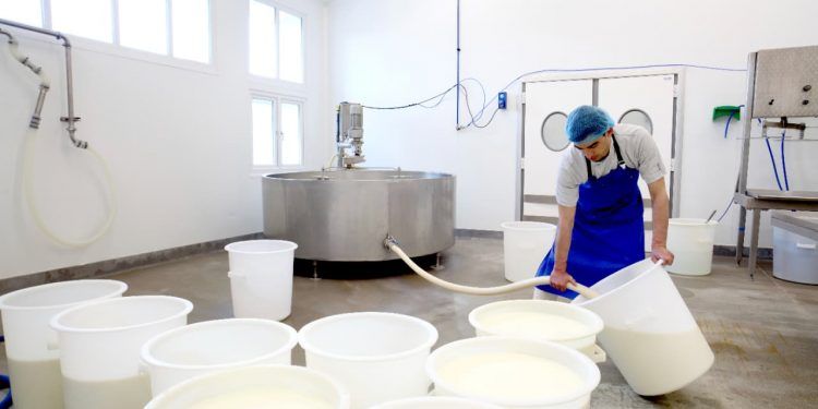 Produtores de leite enfrentam crise e CNA cobra medidas contra importações desleais 1 Foto: Envato