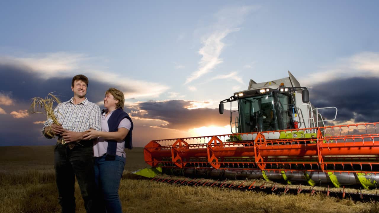 VBP da agropecuária deve atingir R$ 1,49 trilhão em 2025, aponta CNA