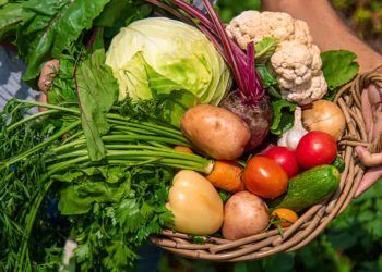 Agricultores familiares recebem R$ 30 milhões por meio do PAA Goiás