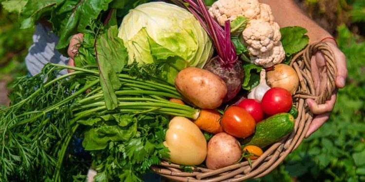 Agricultores familiares recebem R$ 30 milhões por meio do PAA Goiás