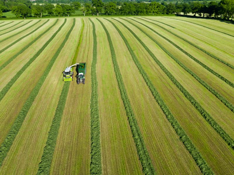 Mercosul passa a enviar notificações conjuntas à OMC sobre normas agrícolas 3 agricultura 2