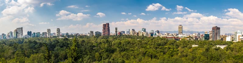 Cidades brasileiras têm menos de 7% de cobertura vegetal, aponta estudo 3 arbonizacao
