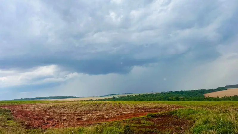 Clima irregular desacelera início da safra de soja 2025/26 em Goiás 3 Atraso no plantio de soja