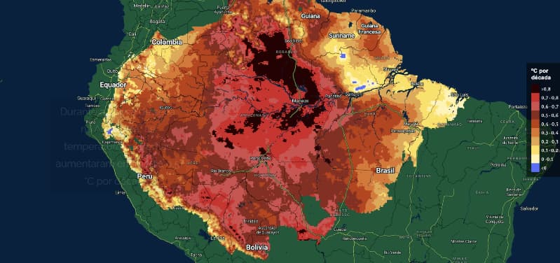 Calor e seca na Amazônia