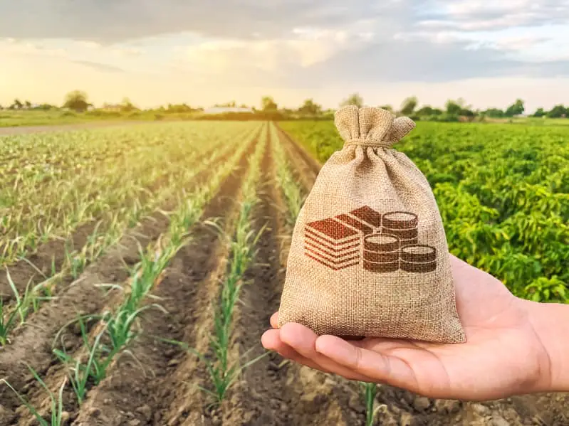Crédito no agro