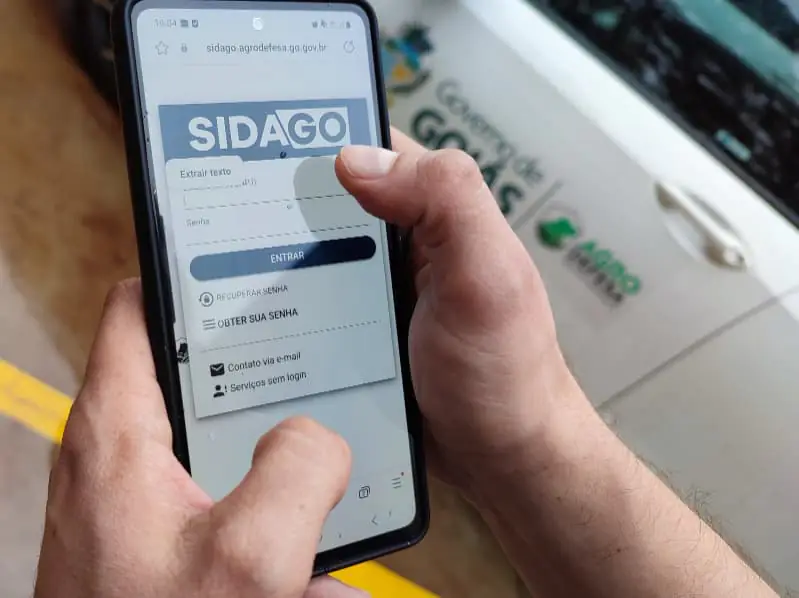 Declaração de rebanho em Goiás será obrigatória entre 1º e 31 de maio; veja como fazer 3 Declaração de rebanho