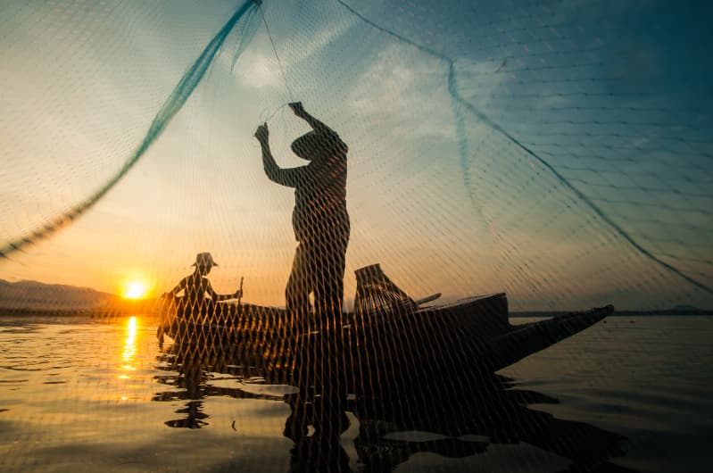 Piracema inicia fase de proteção aos peixes e suspende pesca em todo o país 3 defesa da piracema