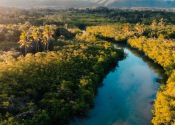 Nos municípios que integram o programa União com Municípios (UcM), considerados prioritários pelo MMA, o desmatamento caiu 65,5% no período.