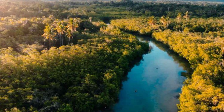 Taxa de desmatamento na Amazônia recua 11% e atinge terceira menor marca histórica 1 Nos municípios que integram o programa União com Municípios (UcM), considerados prioritários pelo MMA, o desmatamento caiu 65,5% no período.