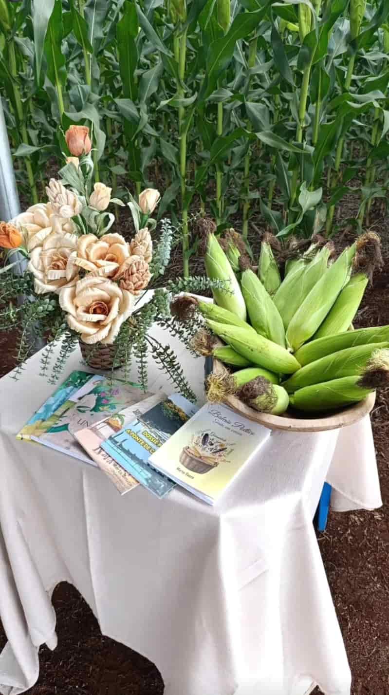 Solidariedade e colheita marcam distribuição de milho em fazenda de Goiás; vídeo 2 distribuicao de milho 1