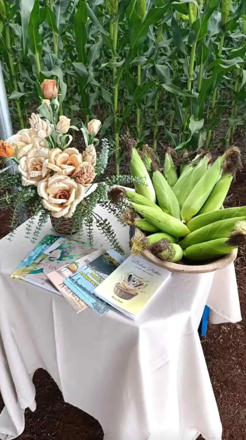 Solidariedade e colheita marcam distribuição de milho em fazenda de Goiás; vídeo 2 distribuicao de milho 1