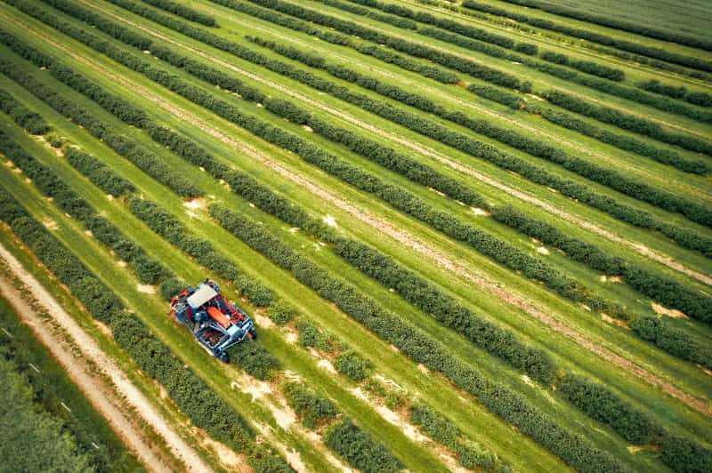 Mercosul passa a enviar notificações conjuntas à OMC sobre normas agrícolas 2 normas agricolas