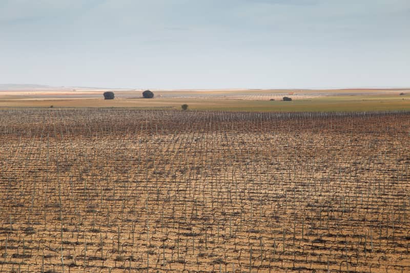 Mapa define método para avaliar perdas agrícolas por eventos climáticos 3 Perdas agrícolas