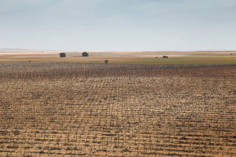 Perdas agrícolas