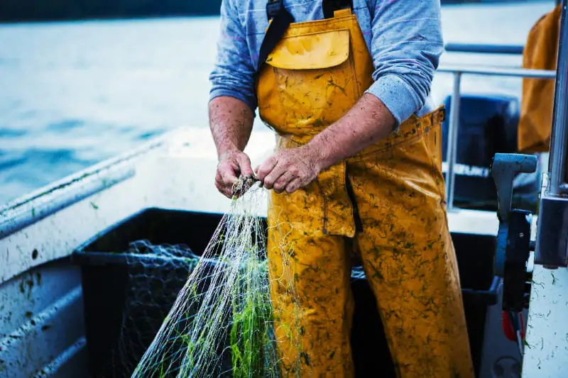 Pescadores artesanais