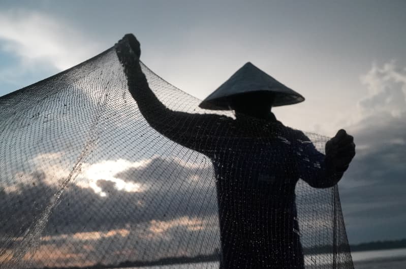 Piracema inicia fase de proteção aos peixes e suspende pesca em todo o país 2 piracema