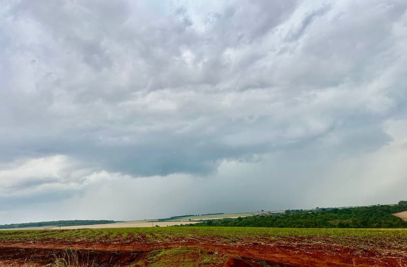 Clima irregular desacelera início da safra de soja 2025/26 em Goiás 2 Plantio de soja