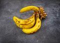 Praga da banana