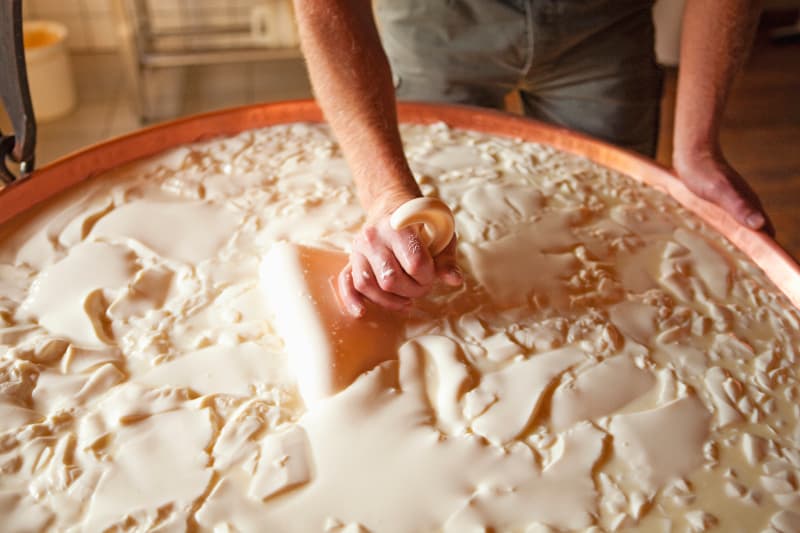 Produção artesanal de queijos cresce 300% em São Paulo 3 producao de queijos