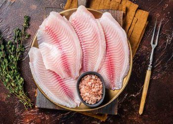 Tilápia lidera produção e consumo de pescado no Brasil
