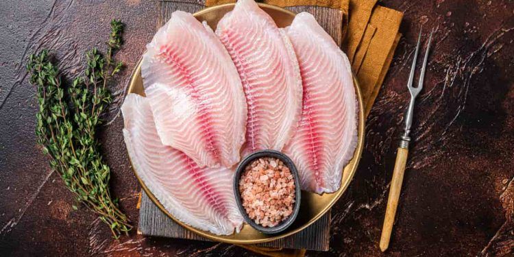 Tilápia lidera produção e consumo de pescado no Brasil