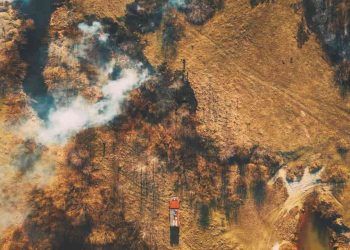 AGU anuncia na COP30 ações que cobram R$ 476 milhões de infratores ambientais 6 AGU anuncia na COP30 ações que cobram R$ 476 milhões de infratores ambientais