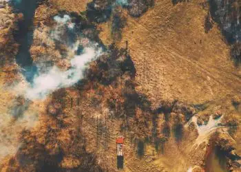 AGU anuncia na COP30 ações que cobram R$ 476 milhões de infratores ambientais