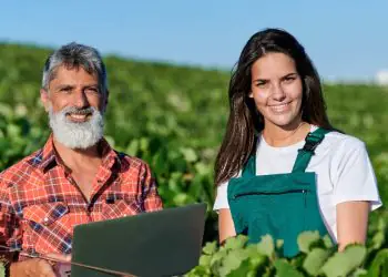 Agropecuária mantém saldo positivo e cria mais de 3 mil vagas formais em setembro