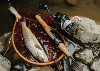 Apesar das revisões, produtos do agronegócio ainda enfrentam tarifa de 40% nos EUA 9 Apesar das revisões, produtos do agronegócio ainda enfrentam tarifa de 40% nos EUA