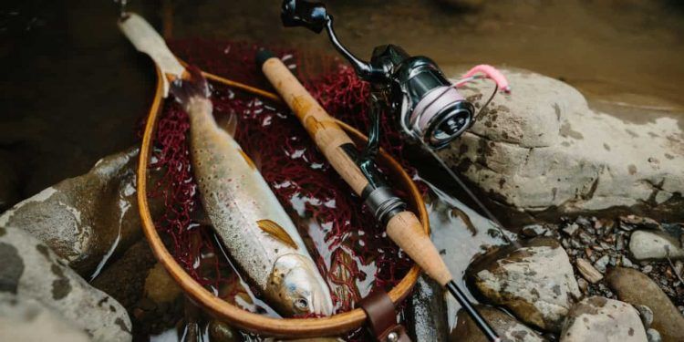 Apesar das revisões, produtos do agronegócio ainda enfrentam tarifa de 40% nos EUA