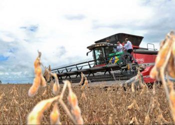 Balança comercial de Goiás alcança superávit de US$ 6,96 bilhões de janeiro a outubro