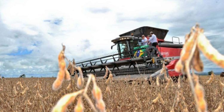 Balança comercial de Goiás alcança superávit de US$ 6,96 bilhões de janeiro a outubro