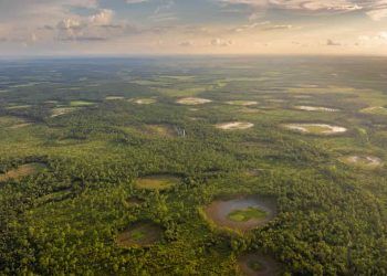 Banco da Amazônia amplia financiamento verde com aporte inicial de R$ 500 milhões 5 Banco da Amazônia amplia financiamento verde com aporte inicial de R$ 500 milhões