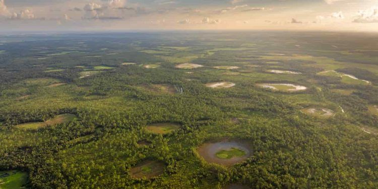 Banco da Amazônia amplia financiamento verde com aporte inicial de R$ 500 milhões