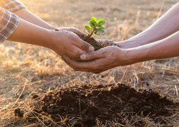 Brasil amplia cooperação ambiental com Cuba e Romênia na COP30