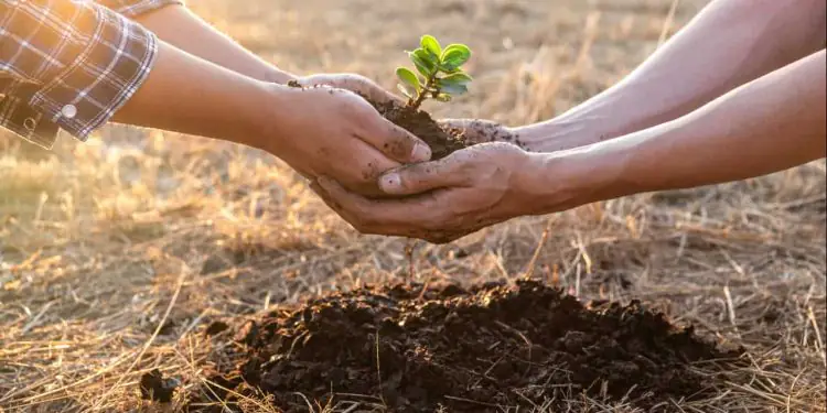 Brasil amplia cooperação ambiental com Cuba e Romênia na COP30 1 Brasil amplia cooperação ambiental com Cuba e Romênia na COP30