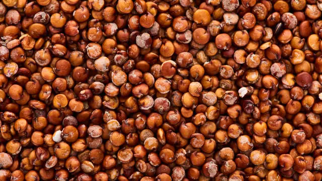 Brasil amplia exportações para a China com habilitação de unidades para sorgo e DDG