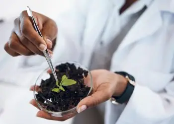 Brasil apresenta na COP 30 avanço que impulsiona inovação em fertilizantes e nutrição de plantas