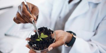 Brasil apresenta na COP 30 avanço que impulsiona inovação em fertilizantes e nutrição de plantas