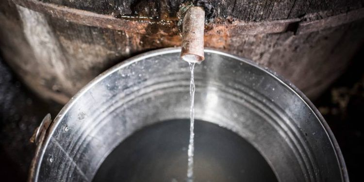 Brasil desperdiça volume diário de água equivalente a mais de 6 mil piscinas olímpicas 1 Brasil desperdiça volume diário de água equivalente a mais de 6 mil piscinas olímpicas