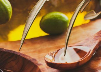 Brasil fortalece atuação internacional no setor de azeites durante reunião em Córdoba 7 Brasil fortalece atuação internacional no setor de azeites durante reunião em Córdoba