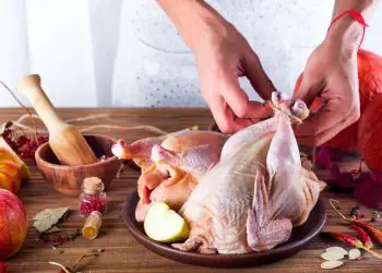 Brasil tem segundo maior volume histórico de exportações de carne de frango