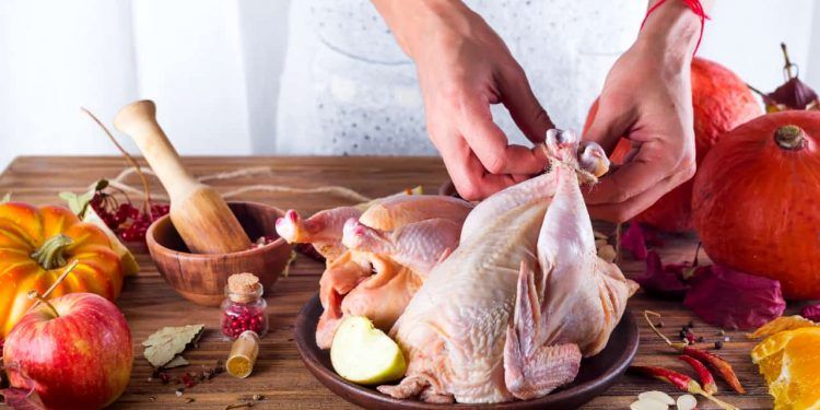 Brasil tem segundo maior volume histórico de exportações de carne de frango 1 Brasil tem segundo maior volume histórico de exportações de carne de frango